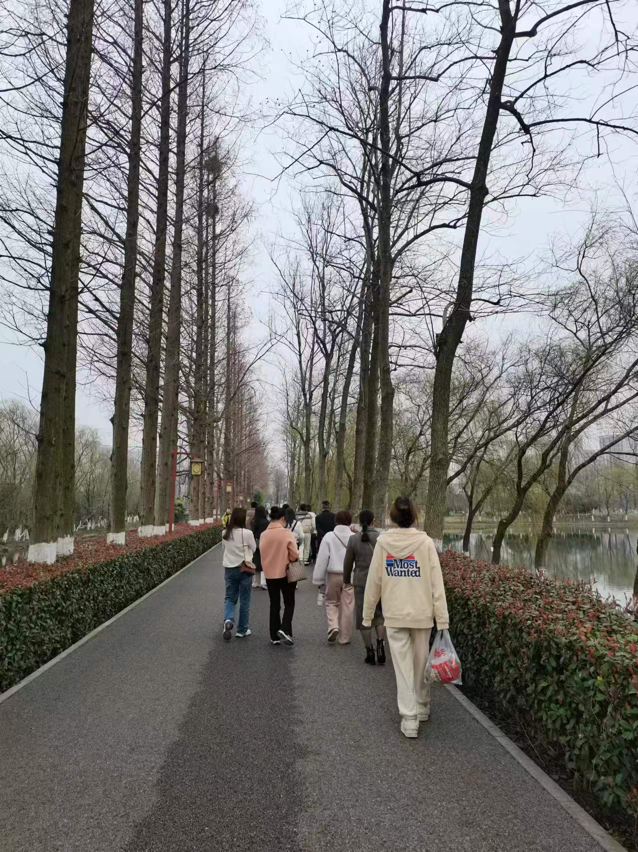 2024年免费资料大全